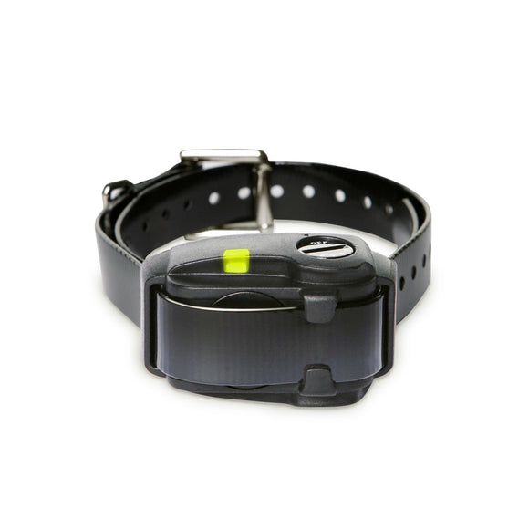 Bark collar