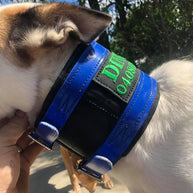 Neck collar