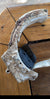Protection cover- Garmin tracking collar  covers for the old T5 DC50 TT10 T5X TT15X ! THE (FULL SIDE COVER )FITS THE NEW TT25 and T20