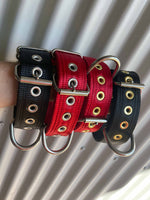 Dog Collars - Known as Pit Bull Collars