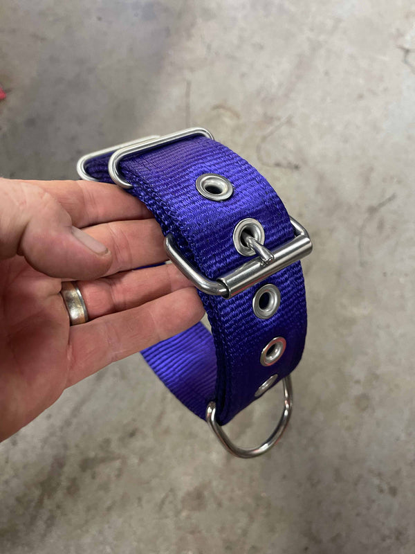 Dog Collars - Known as Pit Bull Collars