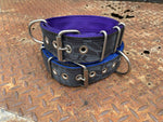 Dog Collars - Known as Pit Bull Collars