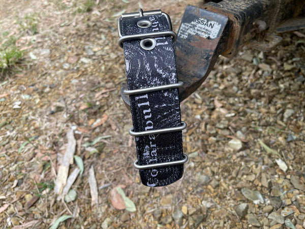 Dog Collars - Known as Pit Bull Collars