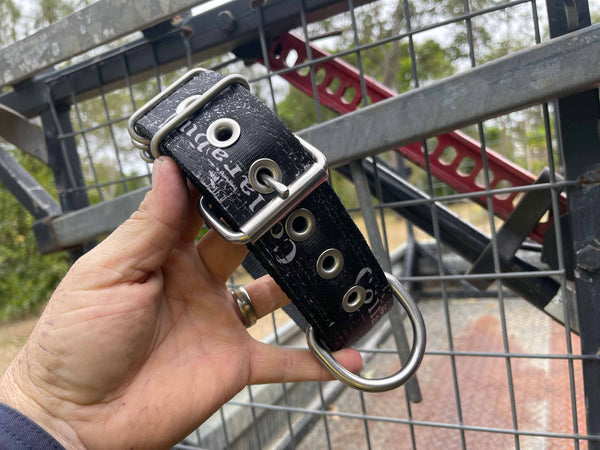 Dog Collars - Known as Pit Bull Collars