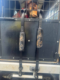 Silent chain dog lead for headboard