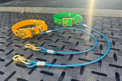 Working dog collars with Free name tag