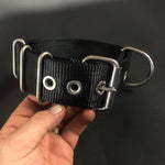 Dog Collars - Known as Pit Bull Collars