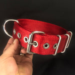 Dog Collars - Known as Pit Bull Collars